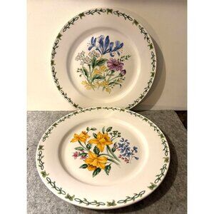 2 Thomson Vintage Floral Garden 10.5" Dinner Plate  # 2749